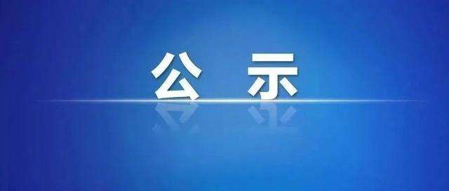 江苏省危险废物产生单位信息公开表2024年上半年（华新、华兴、华神）